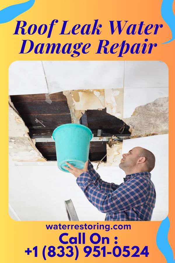 Roof Leak Water Damage Repair in River Rouge, MI