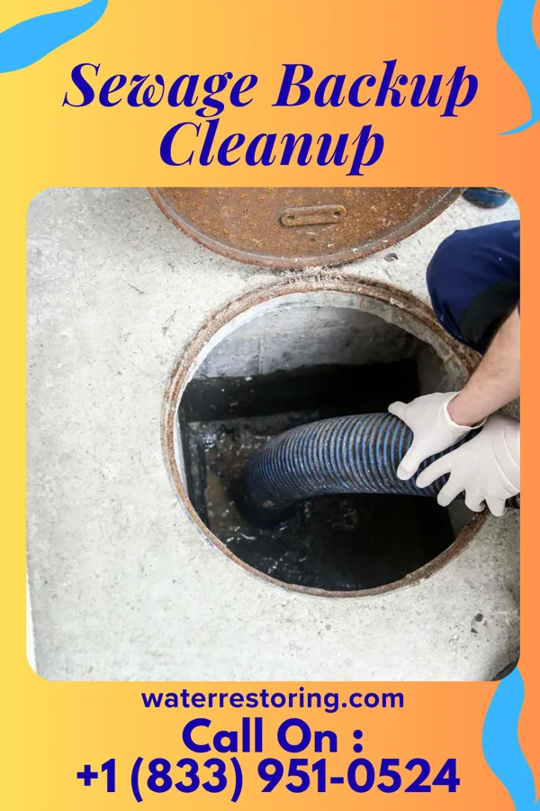 Sewage Backup Cleanup in River Rouge, MI