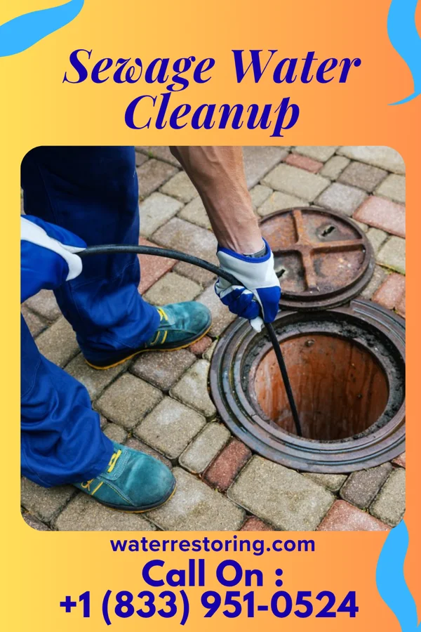 Sewage Water Cleanup in River Rouge, MI